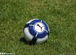 比利时豪取,三连胜,战绩辉煌数,博鱼登录入口,博鱼平台,博鱼注册网址,博鱼app,博鱼官网,博鱼网站,博鱼网页版